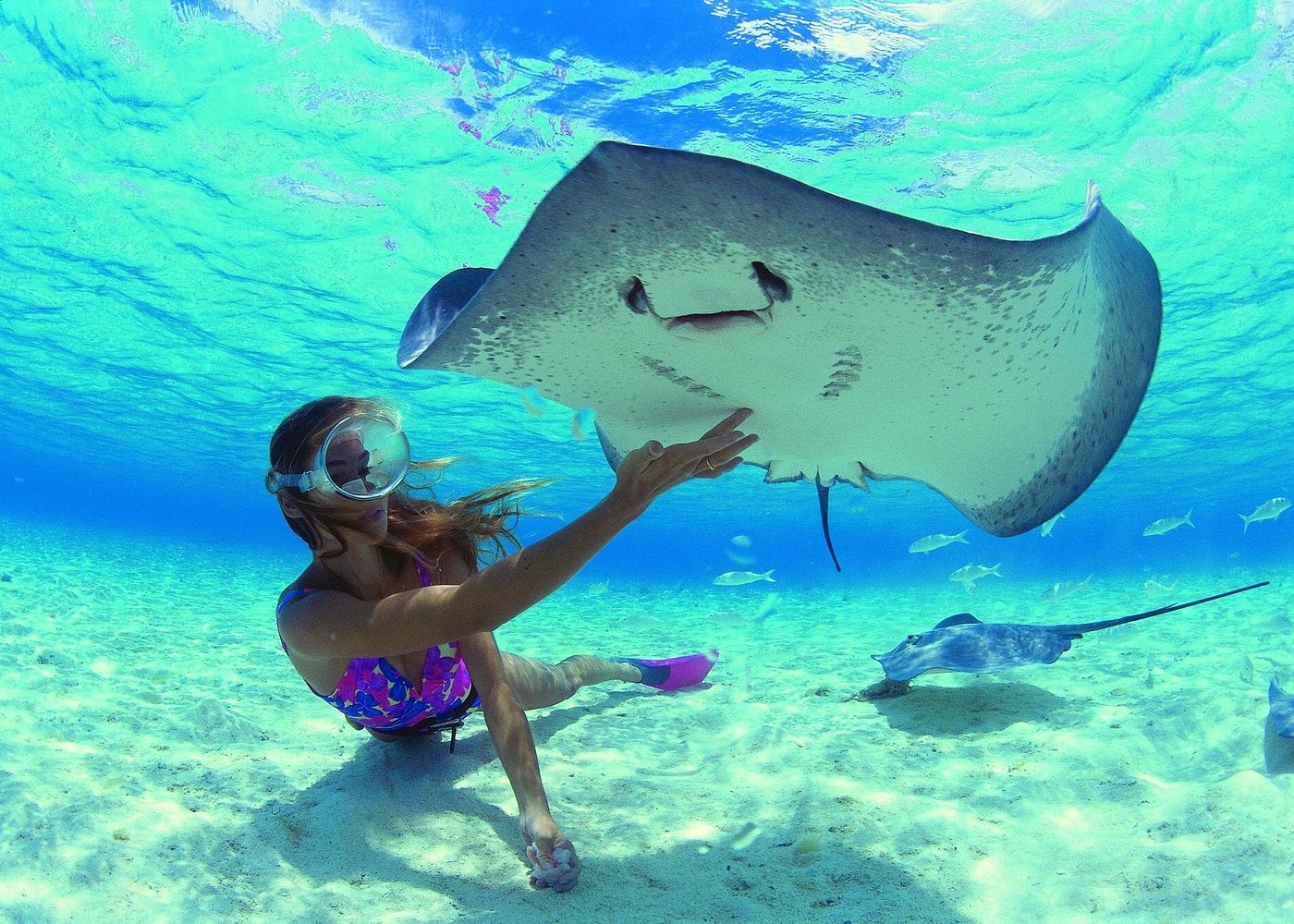 Private motu picnic island Moorea